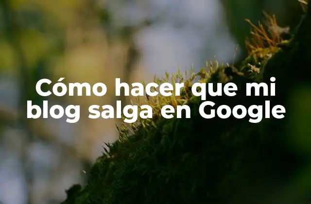 Cómo Hacer que Mi Blog Salga en Google