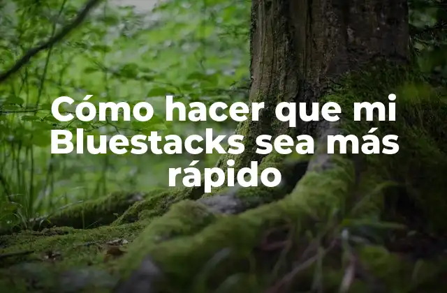 Cómo Hacer que Mi Bluestacks Sea Más Rápido