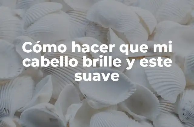 Cómo Hacer que Mi Cabello Brille y Este Suave
