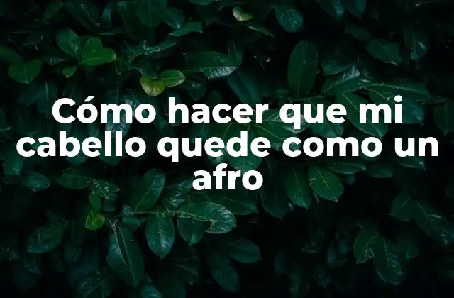 Cómo Hacer que Mi Cabello Quede como un Afro 2 ¿Qué es un cabello afro y cómo se logra?