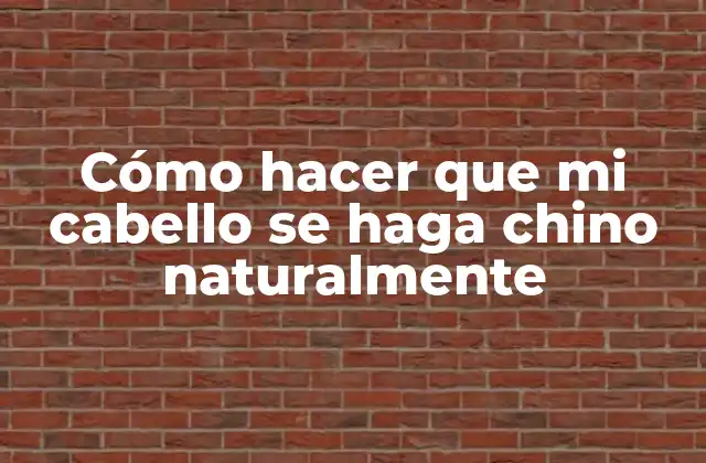 Cómo Hacer que Mi Cabello Se Haga Chino Naturalmente 2 ¿Qué es un cabello chino natural?