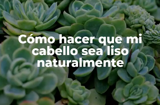 Cómo Hacer que Mi Cabello Sea Liso Naturalmente
