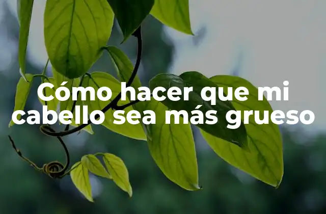 Cómo Hacer que Mi Cabello Sea Más Grueso