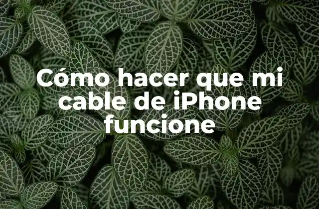 Cómo Hacer que Mi Cable de Iphone Funcione