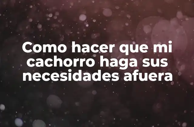 Como Hacer que Mi Cachorro Haga Sus Necesidades Afuera