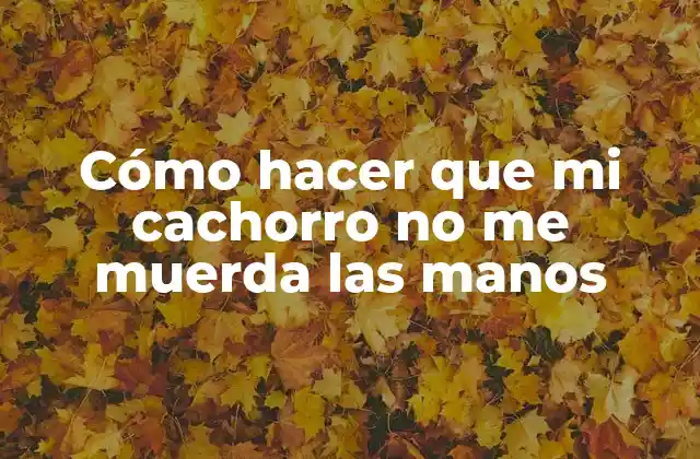 Cómo Hacer que Mi Cachorro No Me Muerda las Manos
