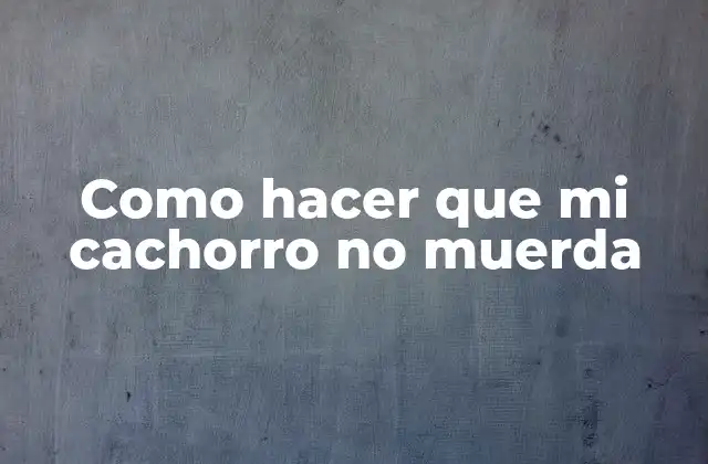 Como Hacer que Mi Cachorro No Muerda