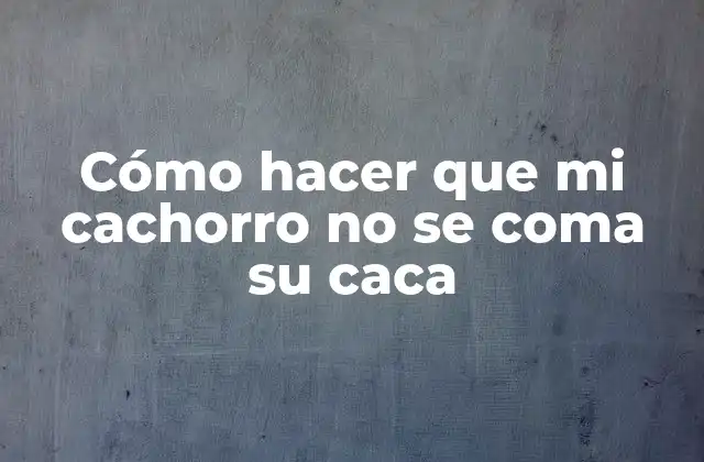 Cómo Hacer que Mi Cachorro No Se Coma Su Caca