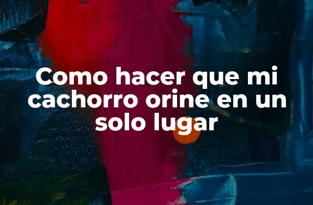 Como Hacer que Mi Cachorro Orine en un Solo Lugar