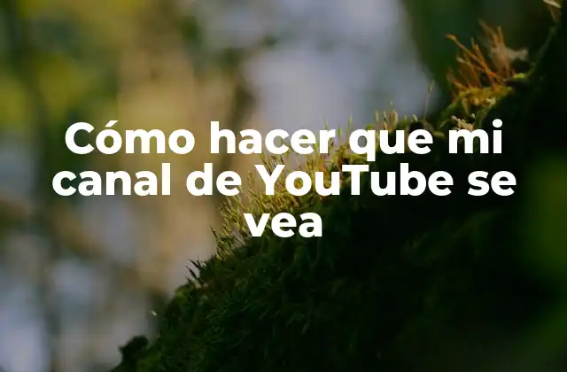 Cómo Hacer que Mi Canal de Youtube Se Vea