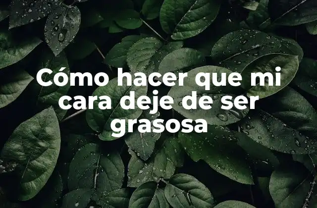 Cómo Hacer que Mi Cara Deje de Ser Grasosa