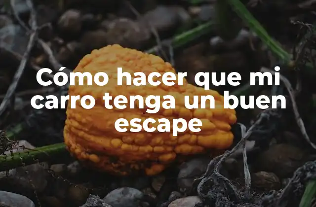 Cómo Hacer que Mi Carro Tenga un Buen Escape