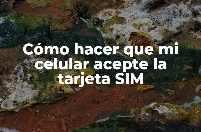 Cómo Hacer que Mi Celular Acepte la Tarjeta Sim