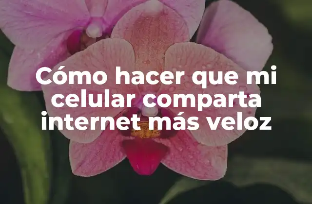 Cómo Hacer que Mi Celular Comparta Internet Más Veloz