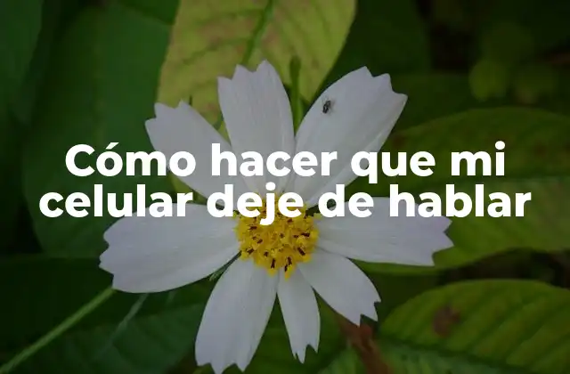 Cómo Hacer que Mi Celular Deje de Hablar