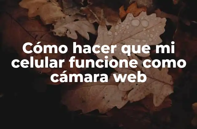 Cómo Hacer que Mi Celular Funcione como Cámara Web