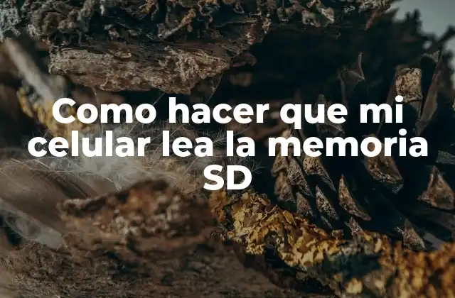Como Hacer que Mi Celular Lea la Memoria Sd