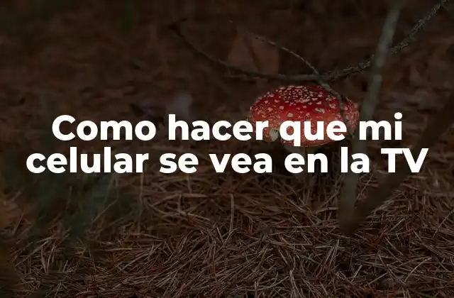 Como Hacer que Mi Celular Se Vea en la Tv