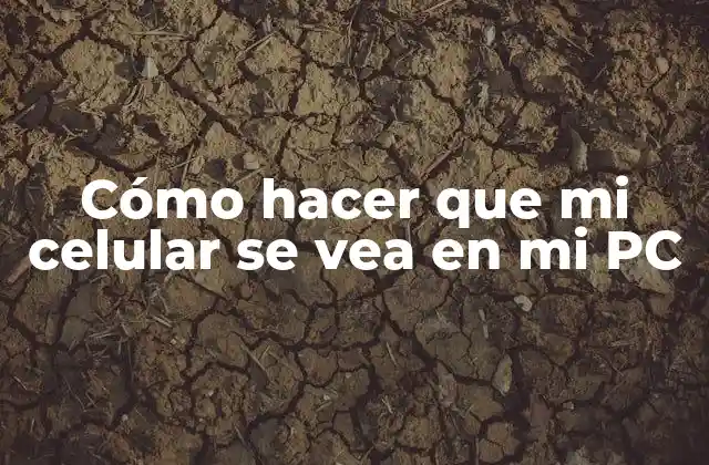 Cómo Hacer que Mi Celular Se Vea en Mi Pc