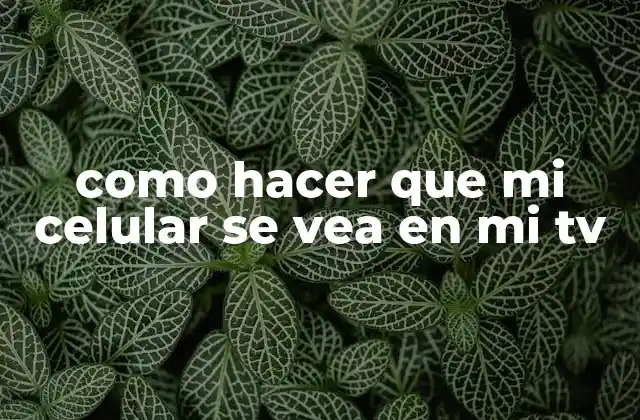 Como Hacer que Mi Celular Se Vea en Mi Tv
