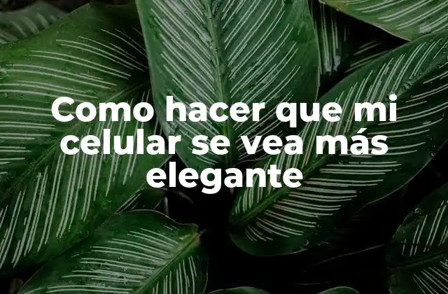 Como Hacer que Mi Celular Se Vea Más Elegante