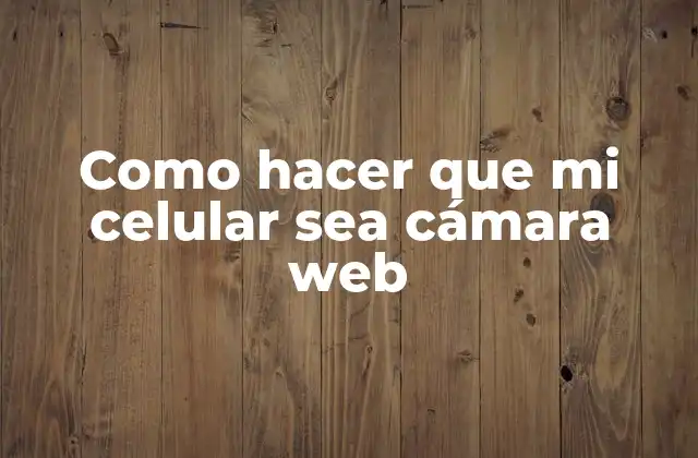 ¿Qué es una cámara web y cómo funciona?