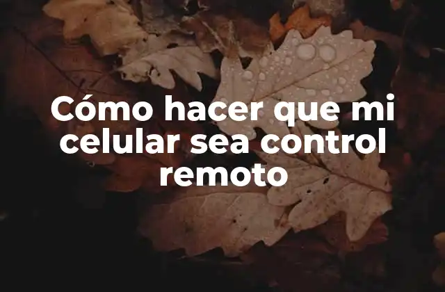 Cómo Hacer que Mi Celular Sea Control Remoto