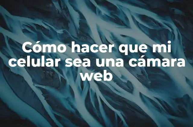 Cómo Hacer que Mi Celular Sea una Cámara Web