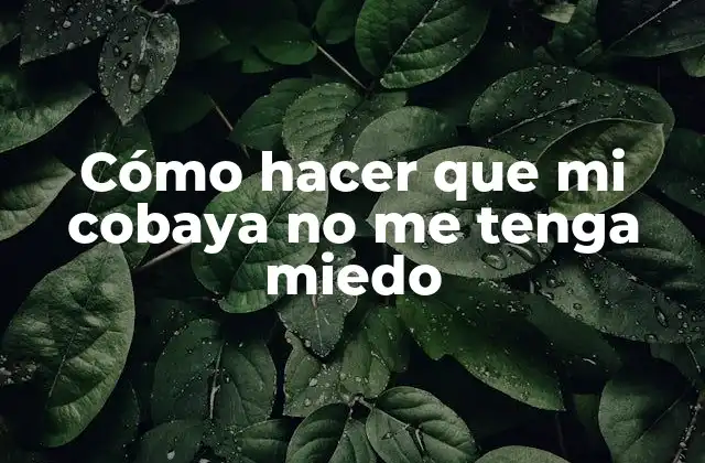 Cómo Hacer que Mi Cobaya No Me Tenga Miedo