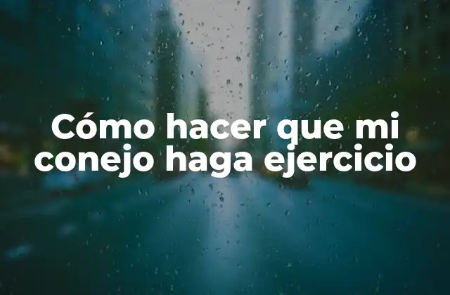 Cómo Hacer que Mi Conejo Haga Ejercicio