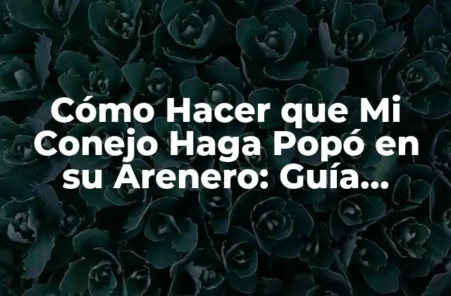 Cómo Hacer que Mi Conejo Haga Popó en Su Arenero: Guía Completa