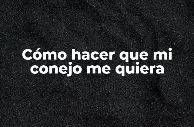 Cómo hacer que mi conejo me quiera