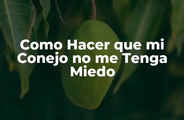 Como Hacer que Mi Conejo No Me Tenga Miedo