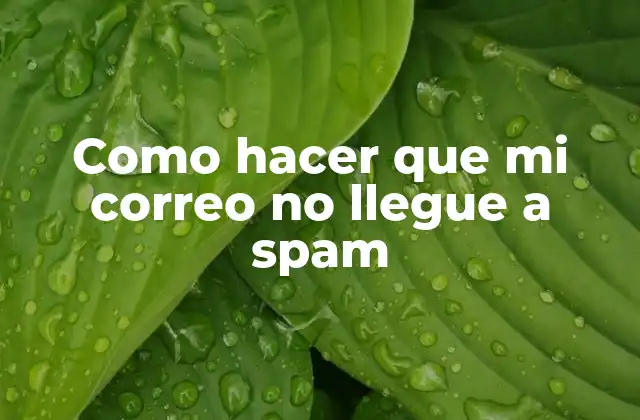 Como Hacer que Mi Correo No Llegue a Spam