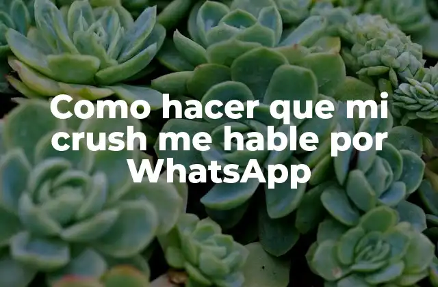Como Hacer que Mi Crush Me Hable por Whatsapp
