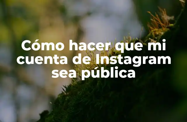 ¿Qué es una cuenta de Instagram pública y para qué sirve?