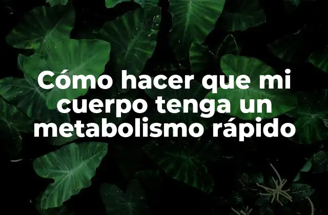 Cómo Hacer que Mi Cuerpo Tenga un Metabolismo Rápido