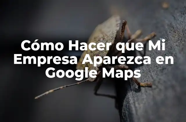 Google Maps y su Importancia para los Negocios