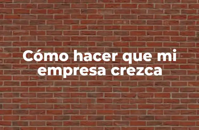 Cómo Hacer que Mi Empresa Crezca