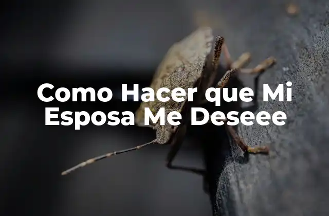 Como Hacer que Mi Esposa Me Deseee 2 ¿Qué es el Deseo en una Relación de Matrimonio?