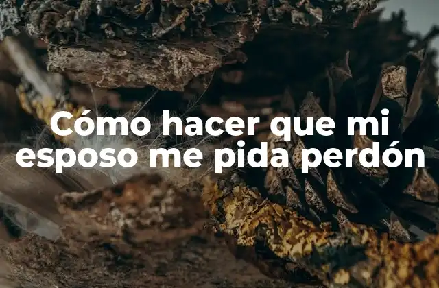 Cómo Hacer que Mi Esposo Me Pida Perdón