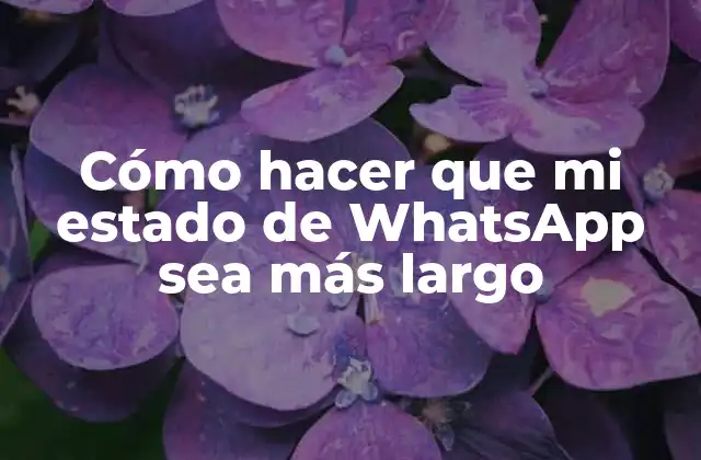 Cómo hacer que mi estado de WhatsApp sea más largo