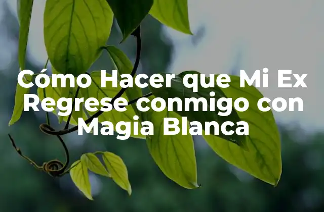 Cómo Hacer que Mi Ex Regrese Conmigo con Magia Blanca