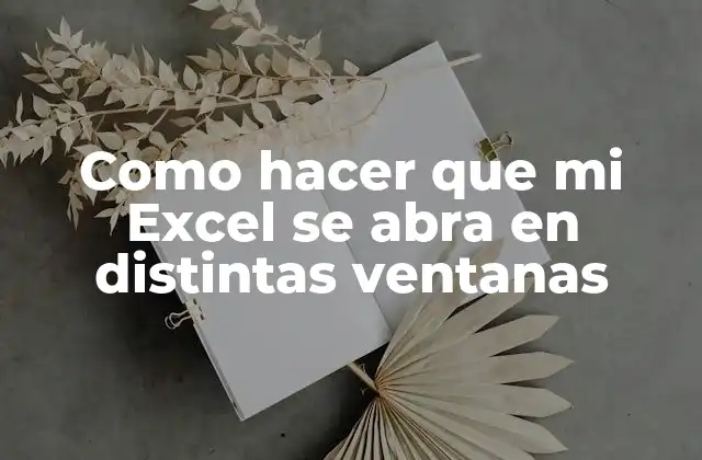 Como Hacer que Mi Excel Se Abra en Distintas Ventanas