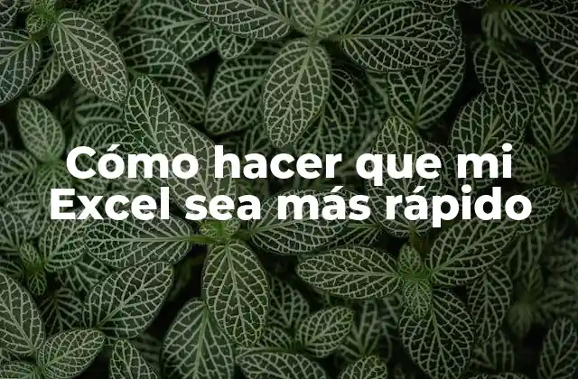 Cómo Hacer que Mi Excel Sea Más Rápido