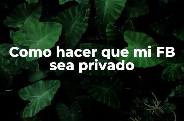 ¿Qué es la privacidad en Facebook?