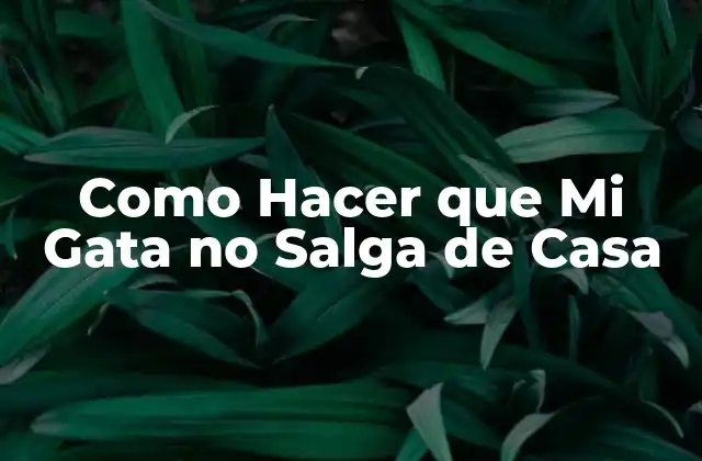 Como Hacer que Mi Gata No Salga de Casa