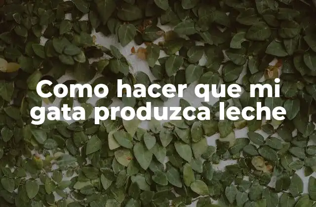 Como Hacer que Mi Gata Produzca Leche