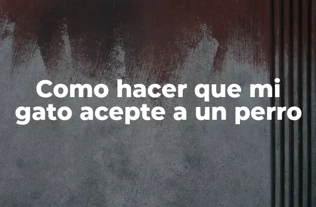 Como Hacer que Mi Gato Acepte a un Perro