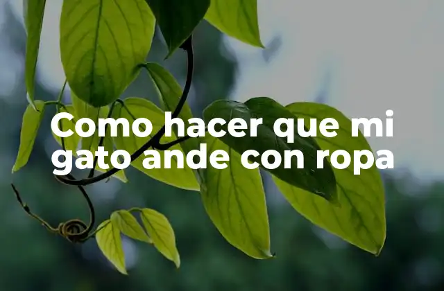 ¿Qué es costumbrar a un gato a andar con ropa?